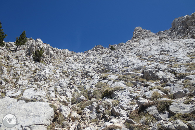 Pedraforca (2.506m) pel coll del Verdet i l