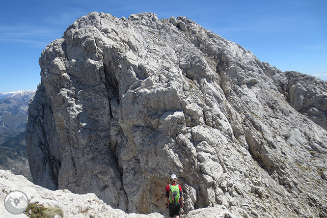 Pedraforca (2.506m) pel coll del Verdet i l