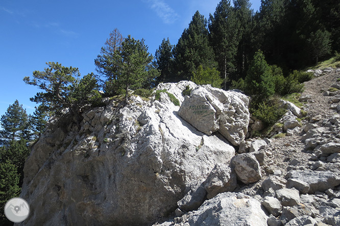 Pedraforca (2.506m) pel coll del Verdet i l