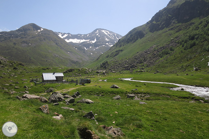 Pic de Rulhe (2.783m) des del Pla de les Peires 1 