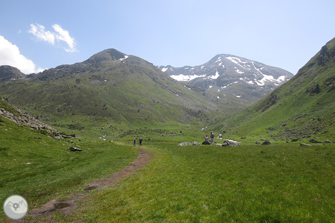 Pic de Rulhe (2.783m) des del Pla de les Peires 1 