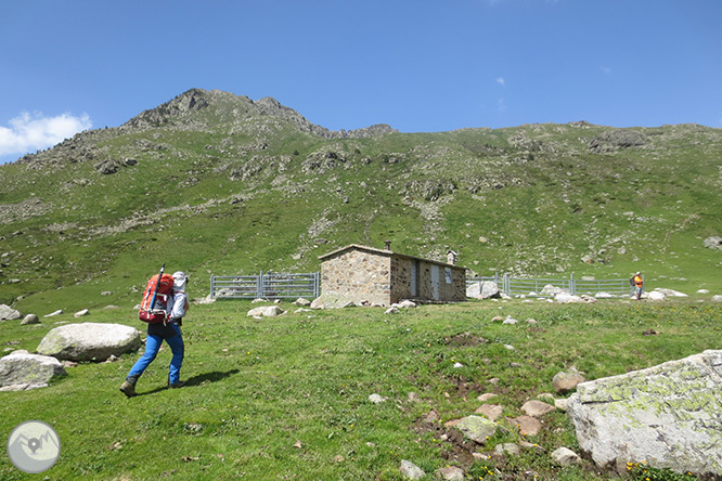 Pic de Rulhe (2.783m) des del Pla de les Peires 1 