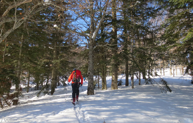 Pic de Tarbésou (2.364m) des de Mijanes 1 