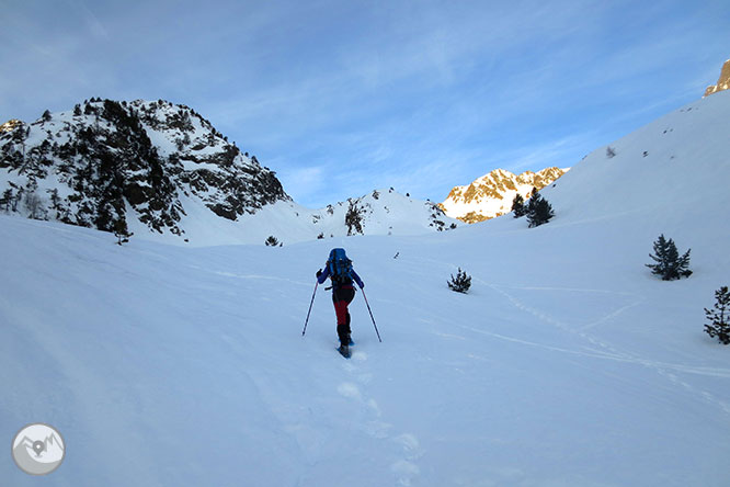 Pic de la Coma del Forn (2.685m) des de la Pleta del Prat 1 