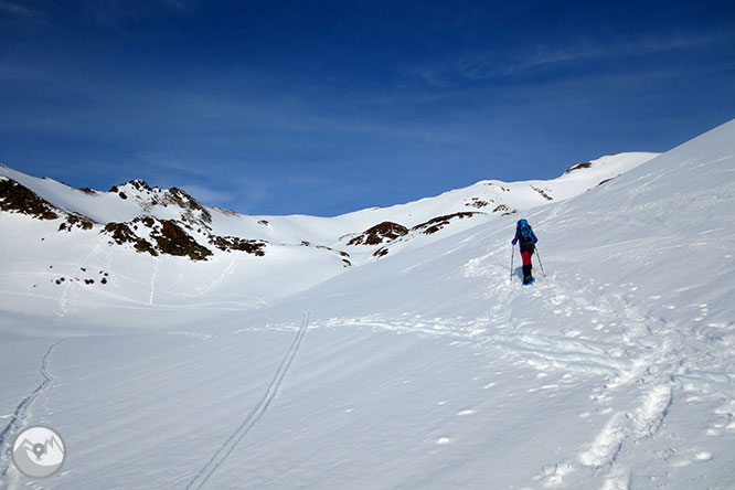 Pic de la Coma del Forn (2.685m) des de la Pleta del Prat 1 