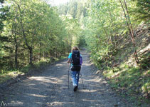 L´excursió comença suaument avançant per enmig del bosc.