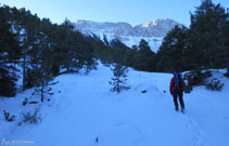 Coll de Reineres.