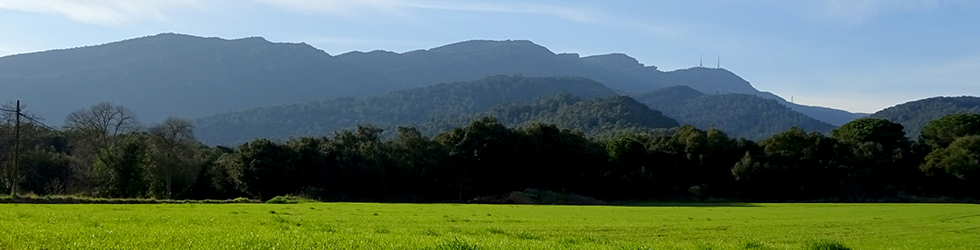 El volcà del puig d´Adri