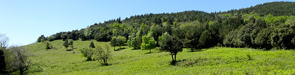 Ruta de l´Exili de La Vajol