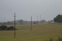 Camps de cereals al camí de Sant Tirs.