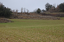 Bancals i murs de pedra seca.