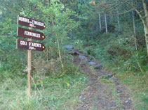 Camí cap a les bordes de l´Ensegur.