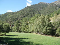 Prats verds amb arbres al costat del riu.