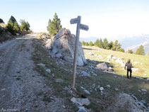 Deixem la pista i continuem pel carriol de la Ruta del Trencapinyes.