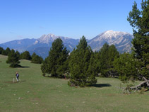 Prat alpí amb el Pedraforca (2.497m) al fons.