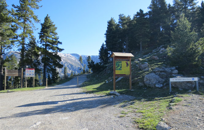 Ruta del Trencapinyes i mirador dels Orris 1 