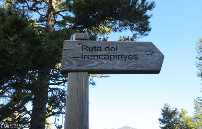 Ruta del Trencapinyes i mirador dels Orris 1 