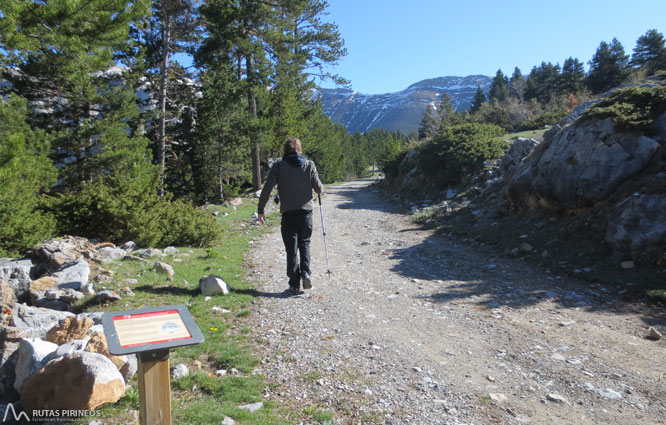 Ruta del Trencapinyes i mirador dels Orris 1 