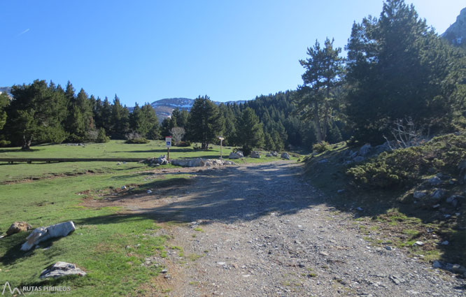 Ruta del Trencapinyes i mirador dels Orris 1 