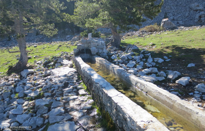 Ruta del Trencapinyes i mirador dels Orris 1 