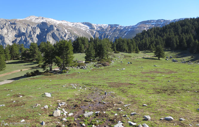 Ruta del Trencapinyes i mirador dels Orris 1 