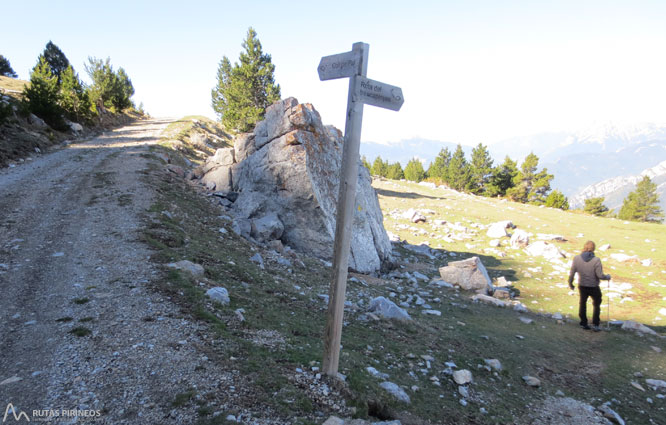 Ruta del Trencapinyes i mirador dels Orris 1 