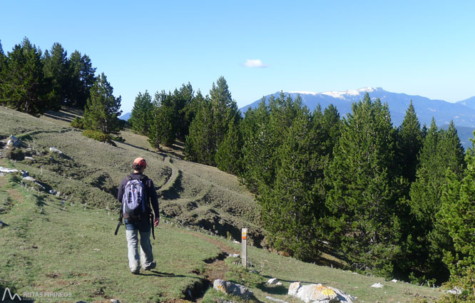 Ruta del Trencapinyes i mirador dels Orris 1 