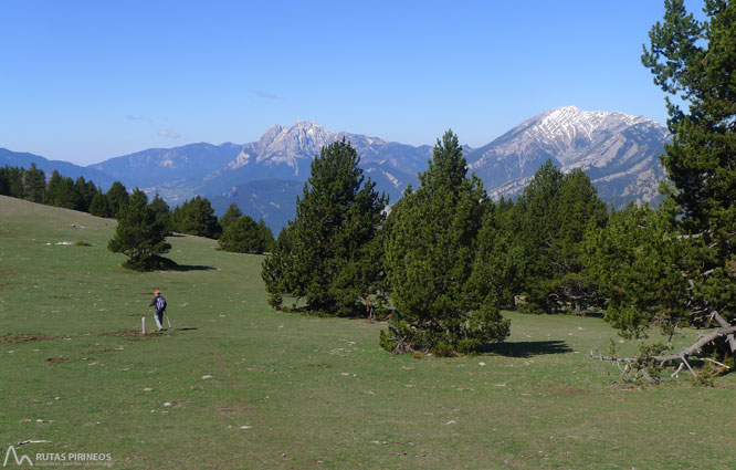 Ruta del Trencapinyes i mirador dels Orris 1 