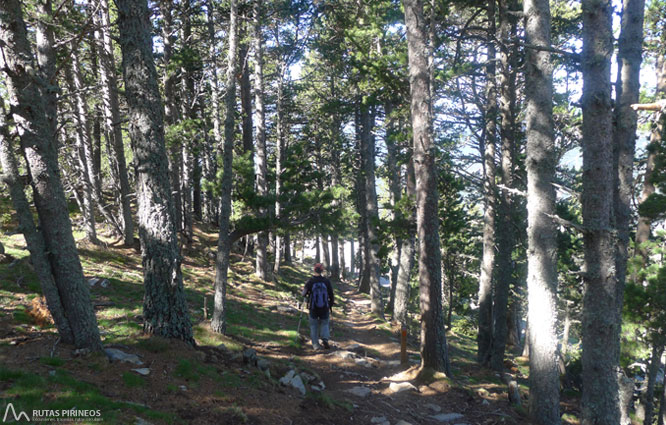 Ruta del Trencapinyes i mirador dels Orris 1 