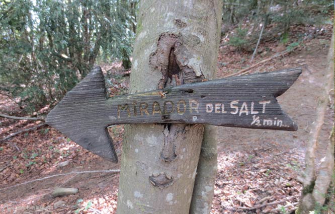 Salt de Sallent des del Pla d