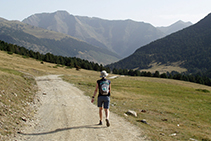 Entre prats, camí a Montgarri.