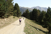 Camí de la solana cap a Montgarri.