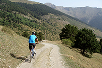 Camí al santuari de Montgarri.