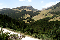 Vista cap al vessant solà des de la pista.