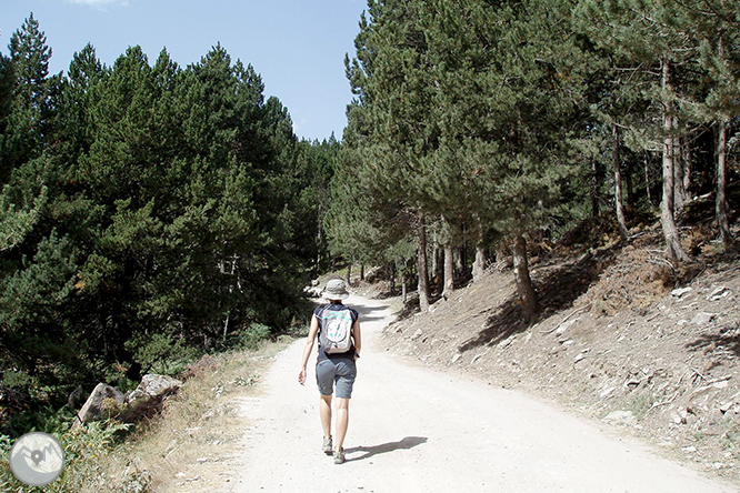 Montgarri, un santuari entre l