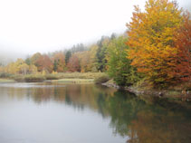 La tardor a l´estany de Varradòs.