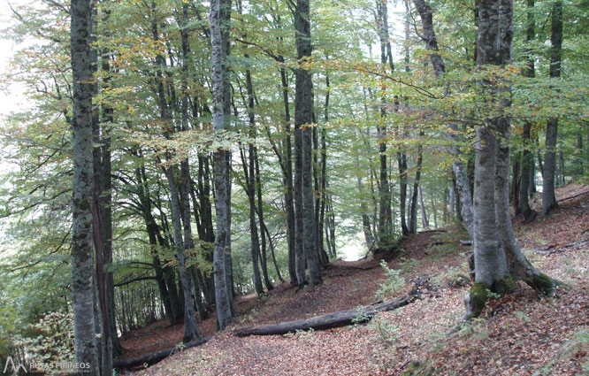 Saut deth Pish a la vall de Varradòs 1 