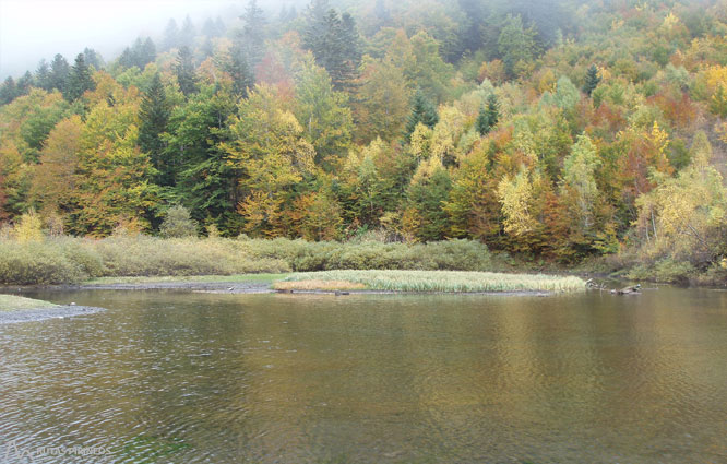 Saut deth Pish a la vall de Varradòs 1 