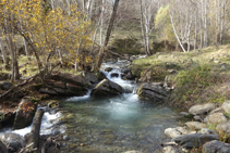 El frescal riu de Sant Antoni.