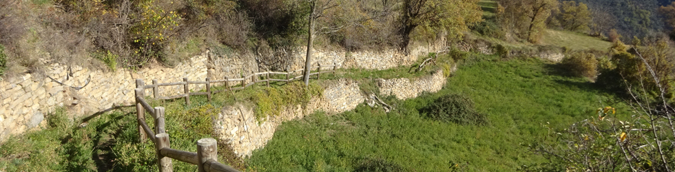 Noguera Pallaresa i Vall d´Àssua des de Sort