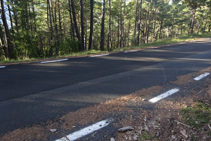 Marca de pintura groga en un pi a l´altra banda de la carretera.