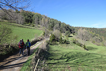 A punt d´endinsar-nos en un bosc.