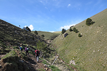 Torrent de Noufonts.