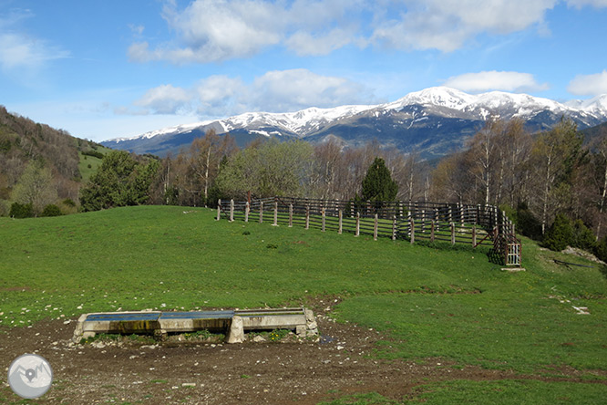 Taga (2.040m) des de Pardines 1 