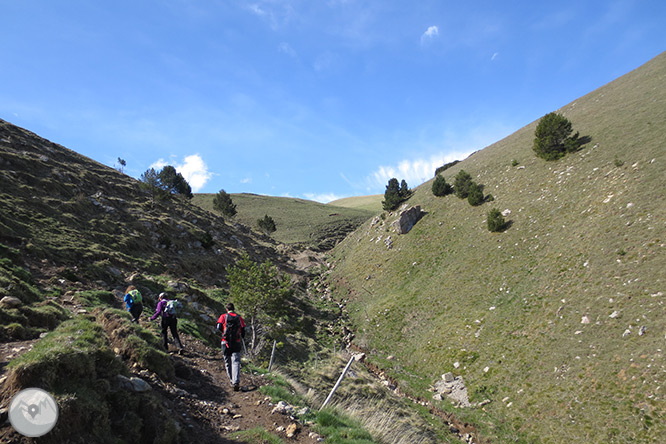 Taga (2.040m) des de Pardines 1 