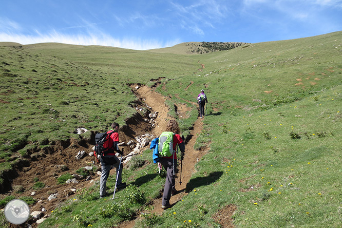 Taga (2.040m) des de Pardines 1 