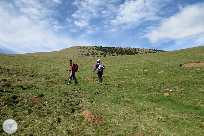 Taga (2.040m) des de Pardines 1 