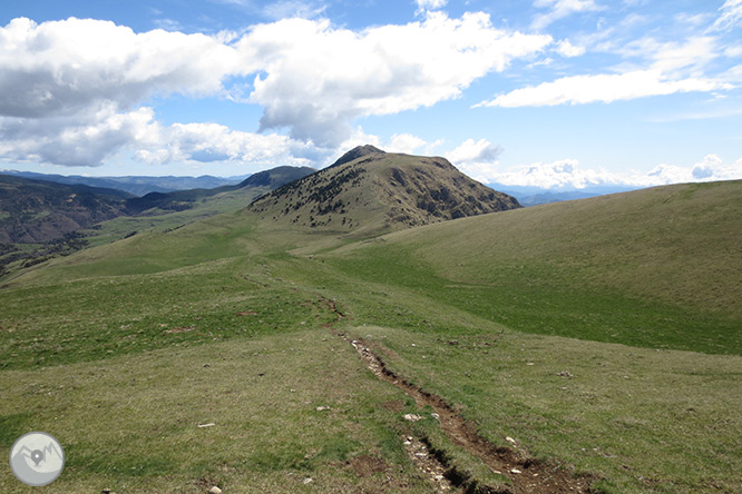 Taga (2.040m) des de Pardines 1 