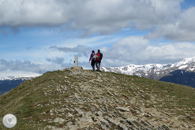 Taga (2.040m) des de Pardines 1 