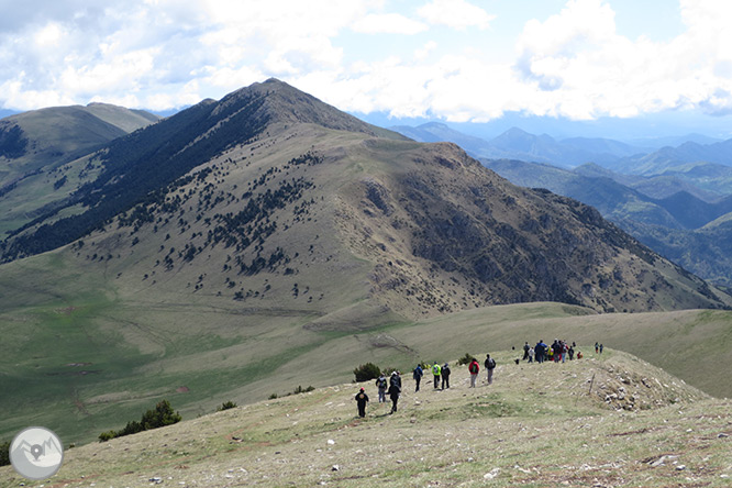 Taga (2.040m) des de Pardines 1 